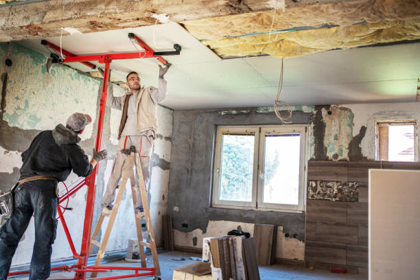 Eco-Friendly or Green Insulation Solutions in Deerfield, IL